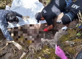 Fiscalía realiza pruebas científicas para determinar identidad de de restos en la Mixteca