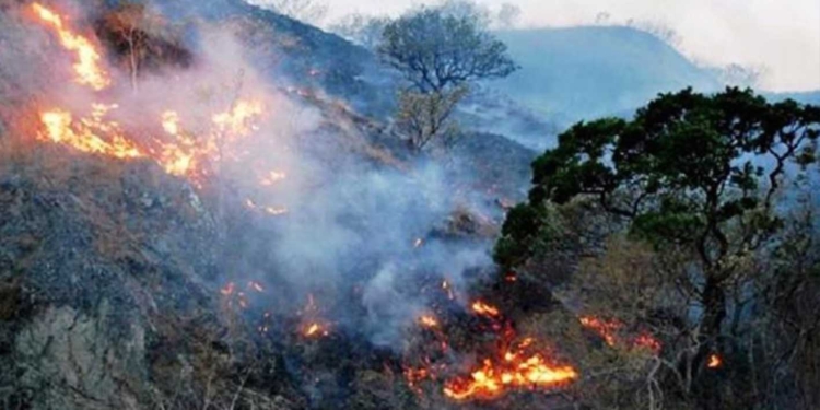 Alarma entre San Vicente Coatlán y Sola de Vega por incendios que ponen en riesgo el diálogo