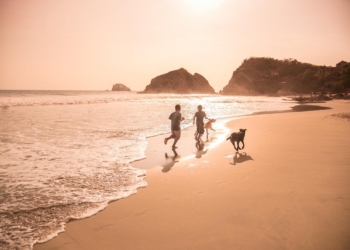 Estima Sectur Oaxaca derrama económica de 137 MDP en primer puente del año