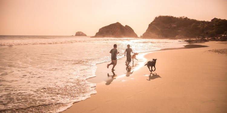 Estima Sectur Oaxaca derrama económica de 137 MDP en primer puente del año