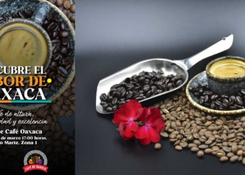 Es oficial, Ale Morlan es la candidata a la gubernatura de Oaxaca por Movimiento Ciudadano