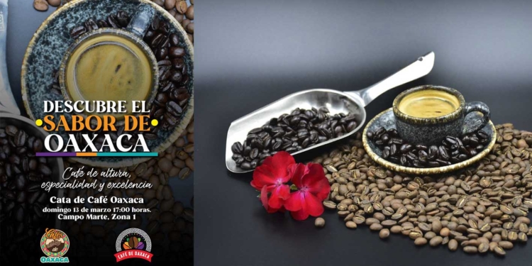 Es oficial, Ale Morlan es la candidata a la gubernatura de Oaxaca por Movimiento Ciudadano