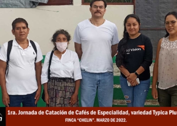 Alto puntaje en taza, obtienen Cafés de Especialidad elaborados por  productores de Café Typica Pluma