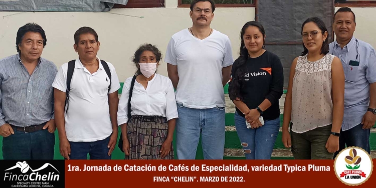 Alto puntaje en taza, obtienen Cafés de Especialidad elaborados por  productores de Café Typica Pluma