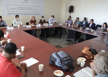 Discuten proyecto para construir iniciativa de ley que proteja al maguey en Oaxaca