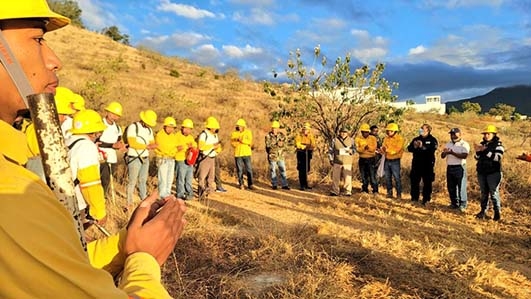 Inicia Gobierno del Estado trabajos de prevención de incendios forestales en Áreas Naturales Protegidas
