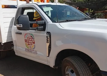 FGEO detiene a dos por narcomenudeo durante cateo efectuado en Xoxo