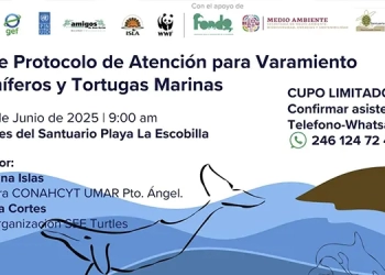 FGEO ejecuta una orden de aprehensión contra persona por violación