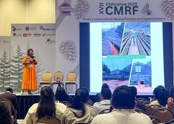 Cabeza de Vaca: caminante entre mundos, chamán entre imperios