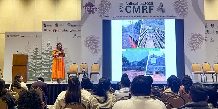 Cabeza de Vaca: caminante entre mundos, chamán entre imperios