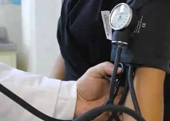 El maíz ajo, un tesoro vivo del pasado precolombino