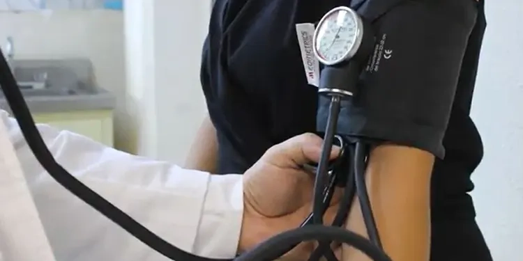 El maíz ajo, un tesoro vivo del pasado precolombino