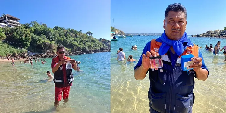 El maíz ajo, un tesoro vivo del pasado precolombino