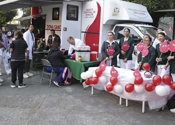 Jeanne Baret y la Bugambilia: la mujer que floreó el mundo