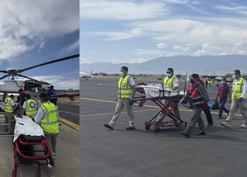 Jeanne Baret y la Bugambilia: la mujer que floreó el mundo