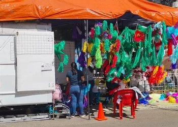 Aseguran SSPC, AEI y Defensa personas, armas y drogas en la Sierra de Flores Magón