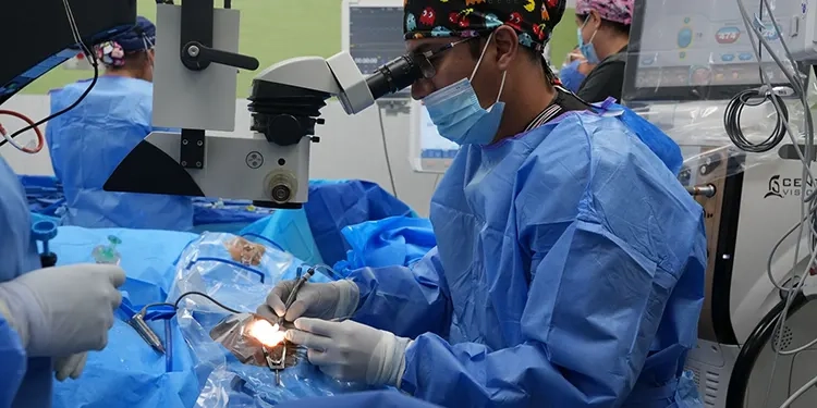 FGEO junto con SSPC realizan cateo en un bar de la Sierra de Flores Magón