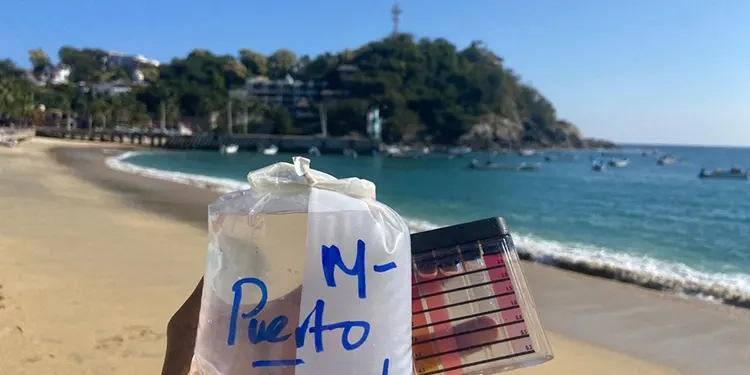 Aseguramiento de mercancía irregular y disuasión de venta ilegal