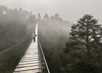 El nacimiento del Nacimiento