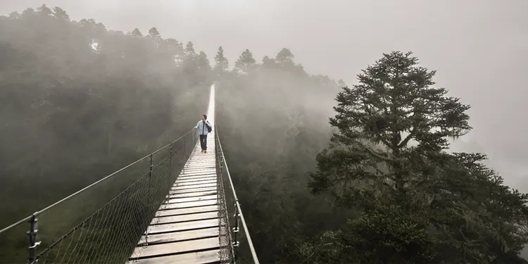 El nacimiento del Nacimiento
