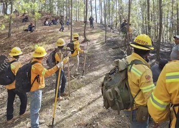 El nacimiento del Nacimiento