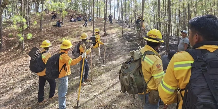 El nacimiento del Nacimiento