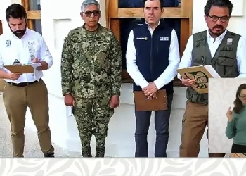 Manual para desaparecer