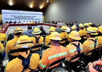 FGEO detiene a una persona por abuso sexual a una niña de nueve años